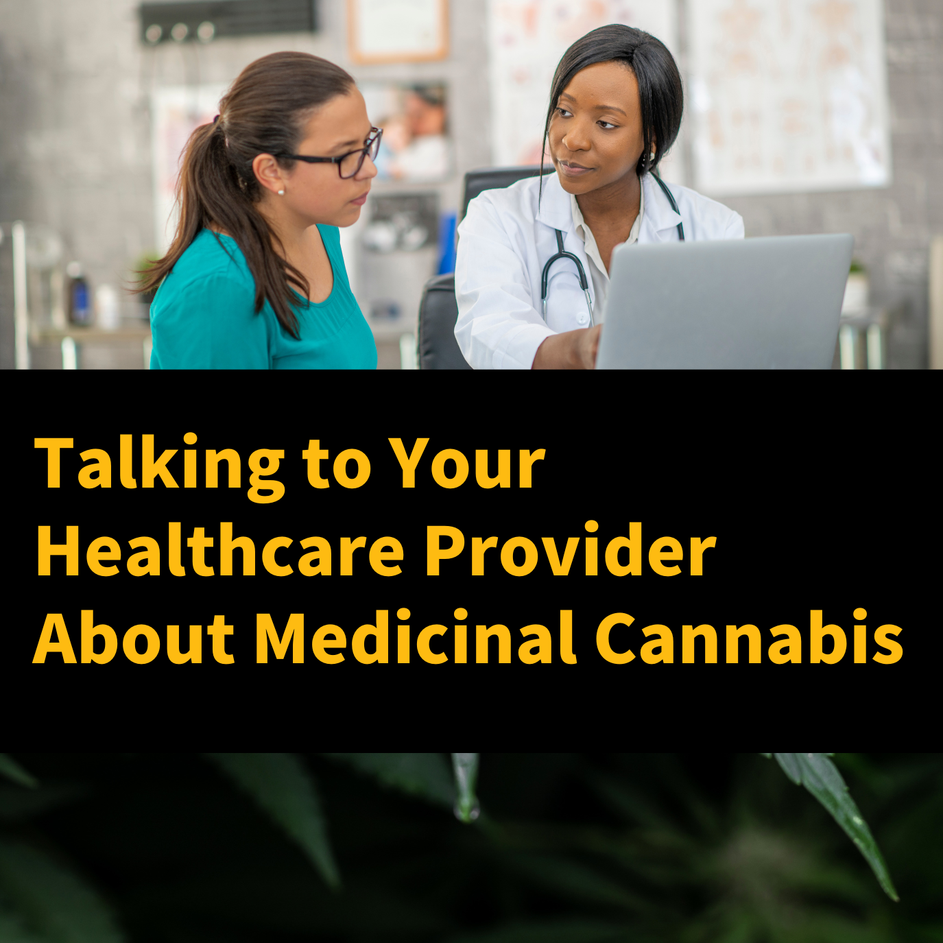 Talking to Your Healthcare Provider About Medicinal Cannabis